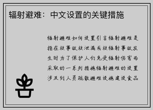 辐射避难：中文设置的关键措施