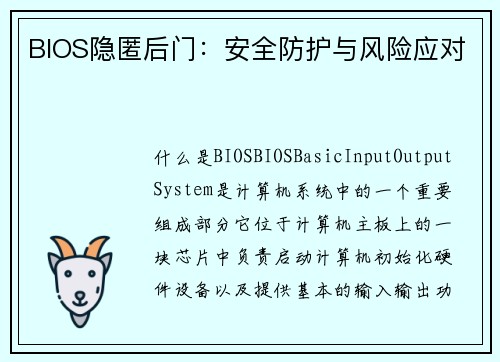 BIOS隐匿后门：安全防护与风险应对