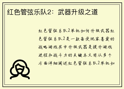 红色管弦乐队2：武器升级之道